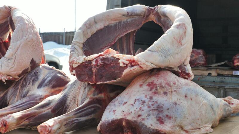 Ярмарки «Nauryz Sale» и большие скидки: что подготовили для жителей Астаны