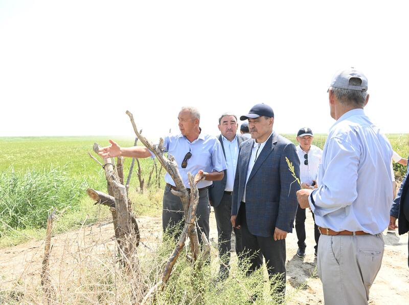 Министр водных ресурсов и ирригации ознакомился с ходом поливного периода в Жанакорганском и Шиелийском районах