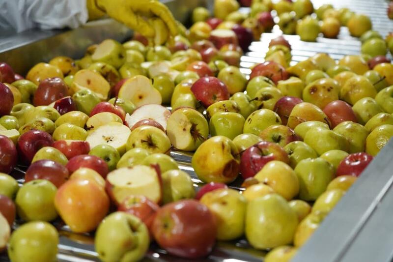 Завод по глубокой переработке фруктов и ягод запустили в Туркестанской области