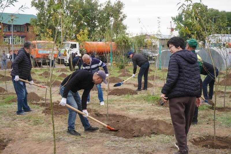 «Таза Қазақстан»: в столичном парке «Коктал» провели экоакцию по посадке деревьев