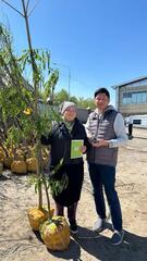 В Алматы стартовала акция «Зеленый двор»