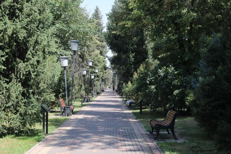 Более 14 км сетей автополива проложили на улицах Жамбыла и Тулебаева в Алматы