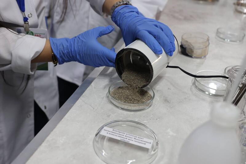 Ученые Сатпаева разработали ценные материалы из сельхозотходов