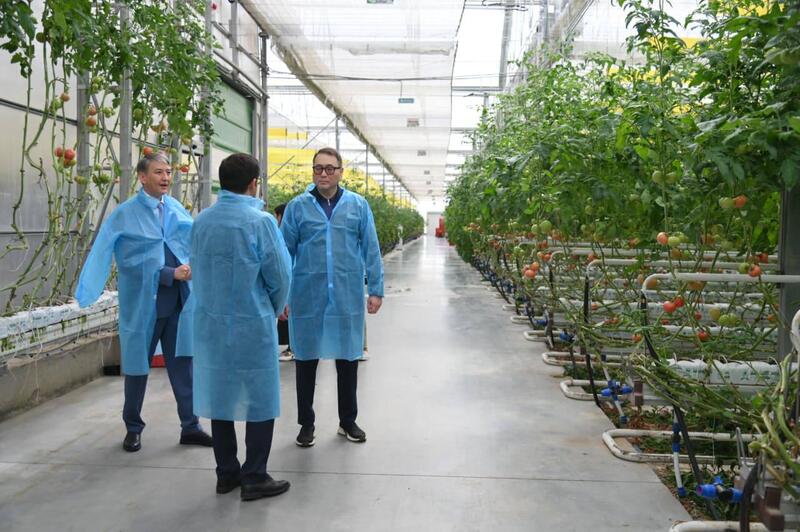 Арман Шаккалиев: В Шымкенте из цепочки поставок исключены 47 непродуктивных посредников