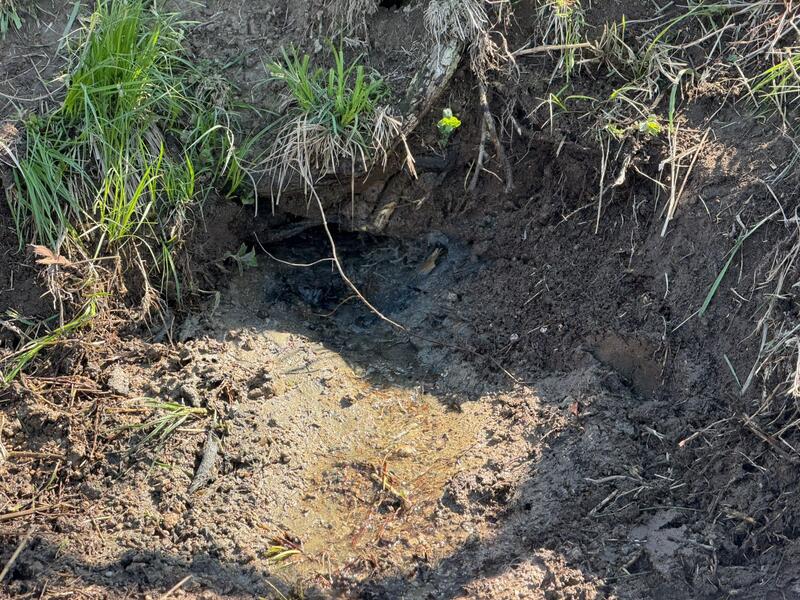 В Жамбылской области продолжается акция «Мөлдір бұлақ»