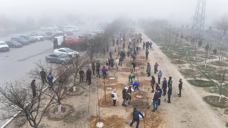 В Мангистауской области в рамках экологической акции «Тазару күні» прошёл масштабный субботник