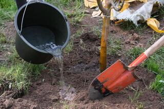 Среди школьников Алматы стартовал общегородской экологический челлендж