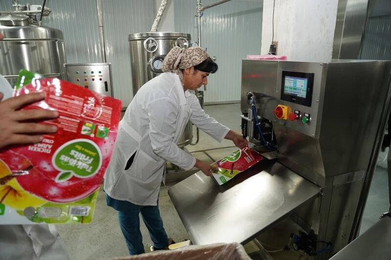 Завод по глубокой переработке фруктов и ягод запустили в Туркестанской области