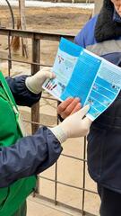 В Алматы бесплатно вакцинируют сельскохозяйственных животных