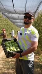 Проект по созданию интенсивного яблоневого сада реализуется в Туркестанской области