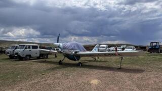 Малую авиацию и дроны используют в борьбе с саранчой в Карагандинской области
