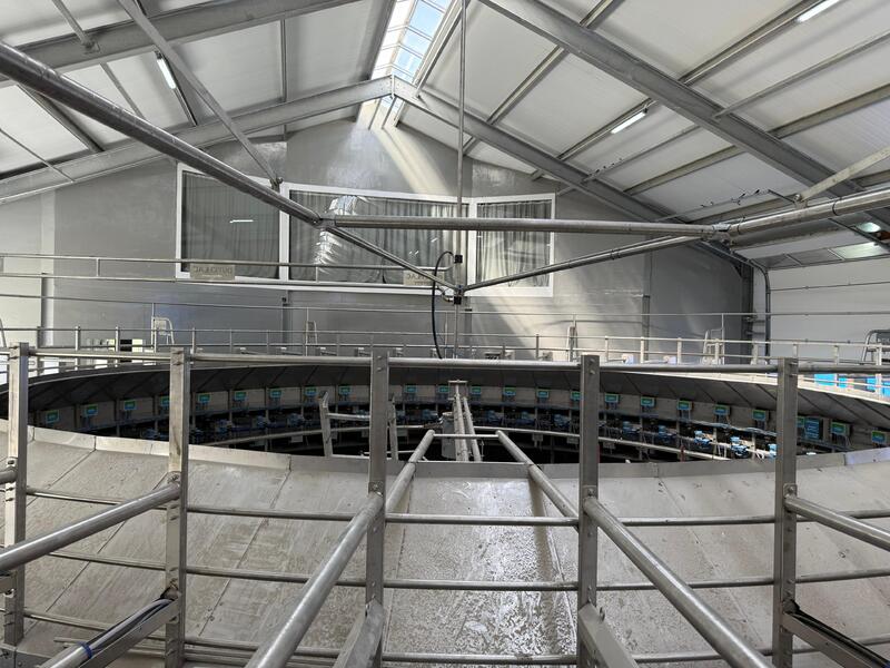 На современной молочной ферме в Актюбинской области планируется производить до 20 тысяч тонн молока в год