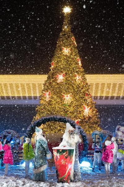 Алматы одновременно зажжет огни новогодних елок во всех районах