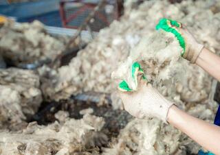 Завод по переработке шерсти и производству нетканых материалов запустили в Актюбинской области