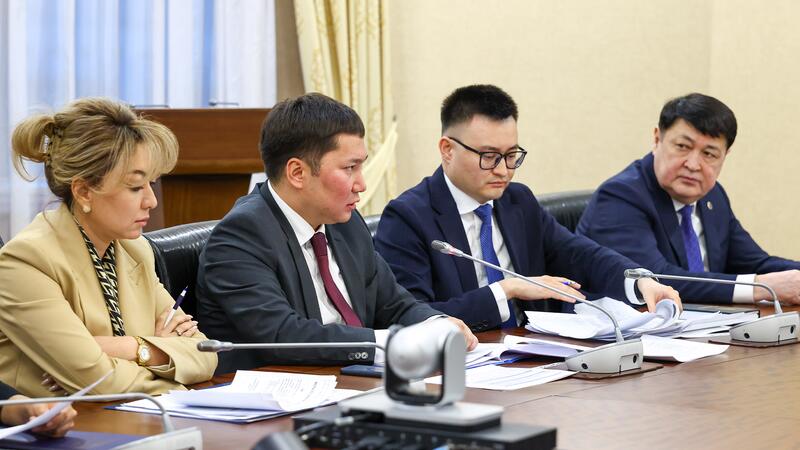 В Казахстане создадут цифровую платформу аналитики данных для борьбы с теневой экономикой