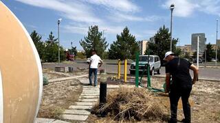 Молодежь Талдыкоргана за чистый город: состоялся экосубботник «Taza El - Taza Bolashaq»