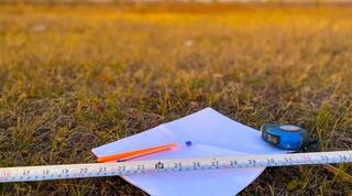 150 тыс. га земель возвращены в госсобственность в Алматинской области