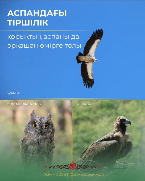 Дикая природа, которую сохраняют уже целый век