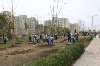 Зеленый Алматы: до конца 2023 года будет высажено 320 тыс. деревьев и кустарников