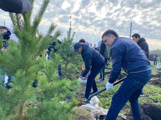 День чистоты объединил СКО: около 10 тысяч человек приняли участие в «World Clean Up Day»