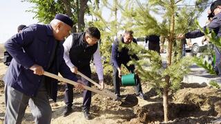 ТУРКЕСТАН: ОКОЛО 3000 ЖИТЕЛЕЙ КАЗЫГУРТА ПРИНЯЛО УЧАСТИЕ В СУББОТНИКЕ В РАМКАХ ПРОГРАММЫ «ТАЗА ҚАЗАҚСТАН»