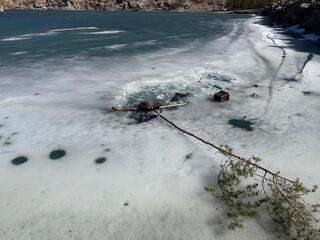 Необычное спасение произошло сегодня в Акмолинской области