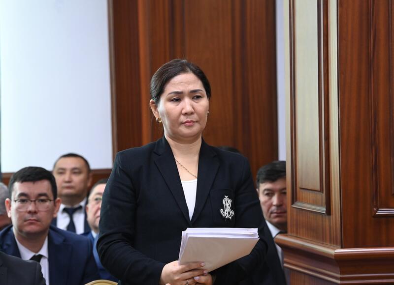 Даны поручения по вопросам обсужденным на заседании Правительства