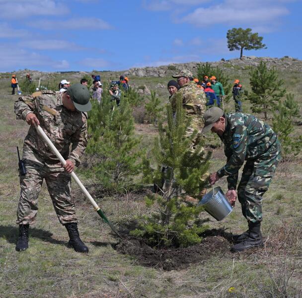 В живописном и исторически значимом Баянаульском районе состоялся республиканский телемост с участием Главы государства Касым-Жомарта Токаева, приуроченный к общенациональной экологической акции «Таза Казахстан»
