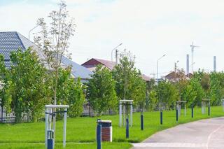 В ТУРКЕСТАНСКОЙ ОБЛАСТИ АКТИВНО ВЕДУТСЯ РАБОТЫ ПО ОСЕННЕЙ ПОСАДКЕ САЖЕНЦЕВ