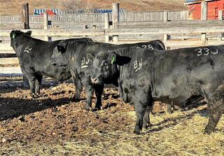 По программе льготного кредитования откормочных площадок подано заявок на сумму 23,3 млрд тенге