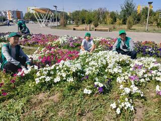 В рамках программы «Таза Қазақстан» в области Ұлытау прошли экологические акции