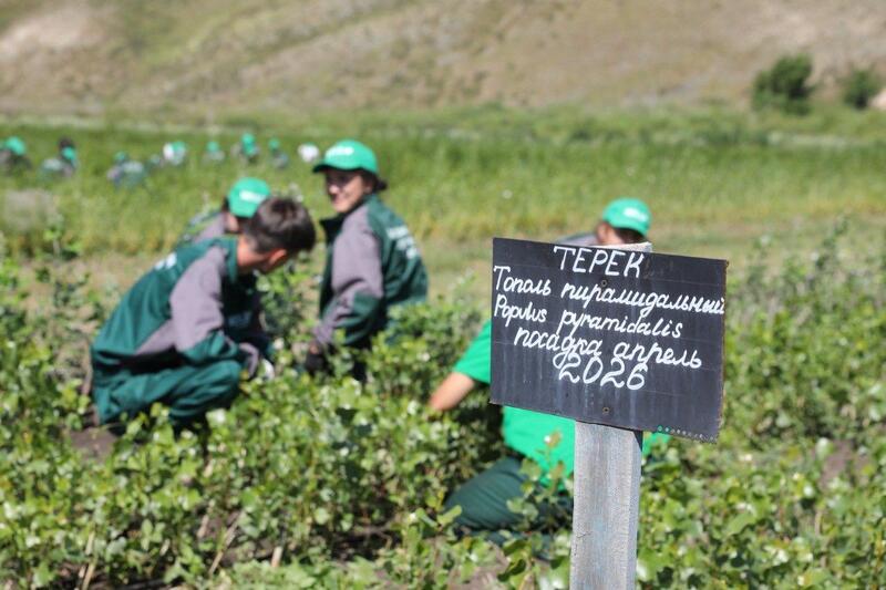 В Косестеке готовится к запуску новое молокоперерабатывающее производство
