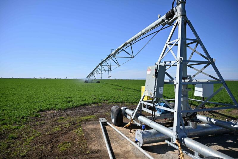 В области Абай обсудили вопросы развития сельского хозяйства