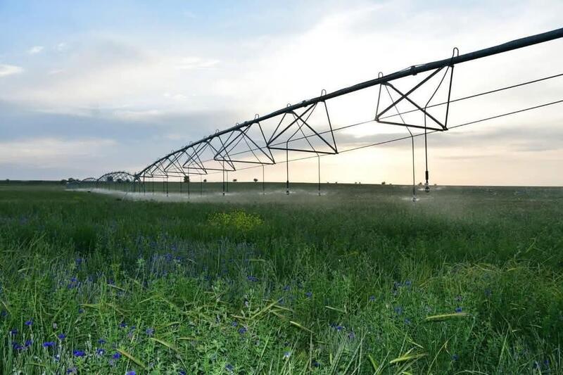 ТУРКЕСТАНСКАЯ ОБЛАСТЬ ЛИДИРУЕТ В РЕСПУБЛИКЕ ПО ВНЕДРЕНИЮ ВОДОСБЕРЕГАЮЩИХ ТЕХНОЛОГИЙ