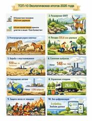 ТОП-10 экологических итогов 2025 года