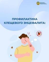 В КАЗАХСТАНЕ РАСТУТ СЛУЧАИ ЗАРАЖЕНИЯ КЛЕЩЕВЫМ ЭНЦЕФАЛИТОМ