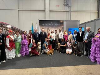 Официальная мировая премьера казахских тазы состоялась на Всемирной выставке собак WDS 2025 в Хельсинки