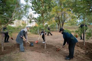 Семейные ценности и забота о природе: в столичном парке высадили десятки сосен