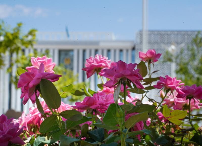 В ТУРКЕСТАНСКОЙ ОБЛАСТИ УЛУЧШИЛАСЬ ТУРИСТИЧЕСКАЯ ИНФРАСТРУКТУРА И ВЫРОСЛО ЧИСЛО ИНОСТРАННЫХ ТУРИСТОВ