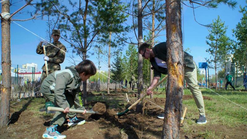 Сосны, яблони, груши: в районе Байконыр появится новый зелёный лес