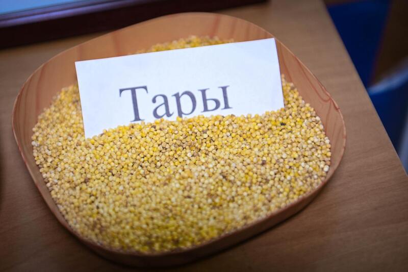 28 мая в рамках TARY FEST в Актюбинском высшем аграрно-техническом колледже имени Ш. Берсиева состоялись церемония возложения цветов к памятнику прославленного хлебороба Шыганака Берсиева и научно-практическая конференция «Ақтөбе – тарының астанасы»
