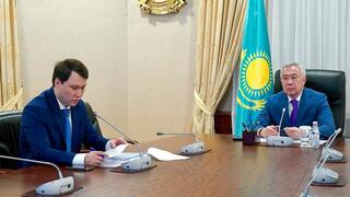 Министерство сельского хозяйства Казахстана приступило к совместным обследованиям приграничных территорий с Кыргызстаном на предмет выявления саранчи