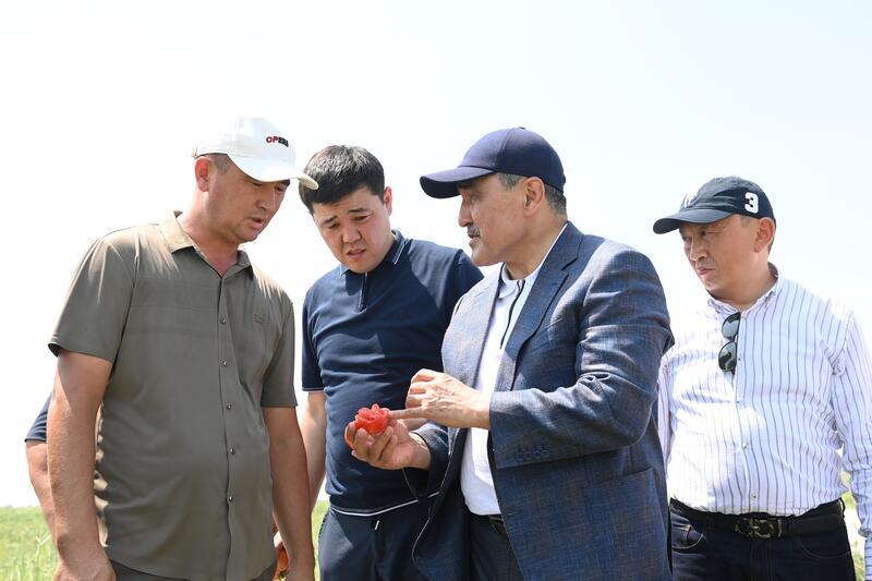 Министр водных ресурсов и ирригации ознакомился с ходом поливного периода в Жанакорганском и Шиелийском районах