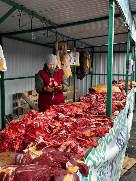 В ВКО началась ярмарка «Туған жер – алтын бесігім»: вкус, традиции и лучшие продукты региона