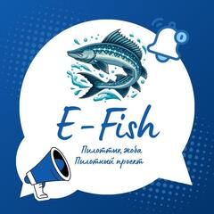 Вступили в силу поправки об обязательной регистрации субъектов рыбного хозяйства в системе Е-fish