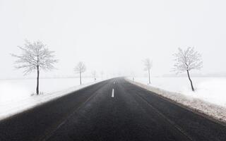 Рекомендации спасателей: действия населения при снежных заносах на автодорогах