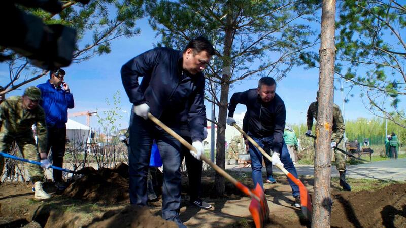 Сосны, яблони, груши: в районе Байконыр появится новый зелёный лес