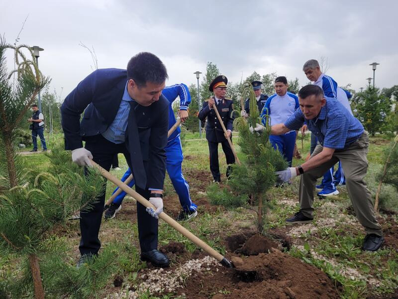 «Таза Қазақстан»: к 100-летию Ассоциации «Динамо» в столице высажено 150 саженцев сосны