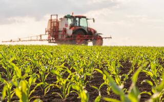 В Алматинской области усиливается государственная поддержка аграрного сектора