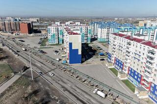 Аким области принял участие в акции по посадке деревьев в Семее